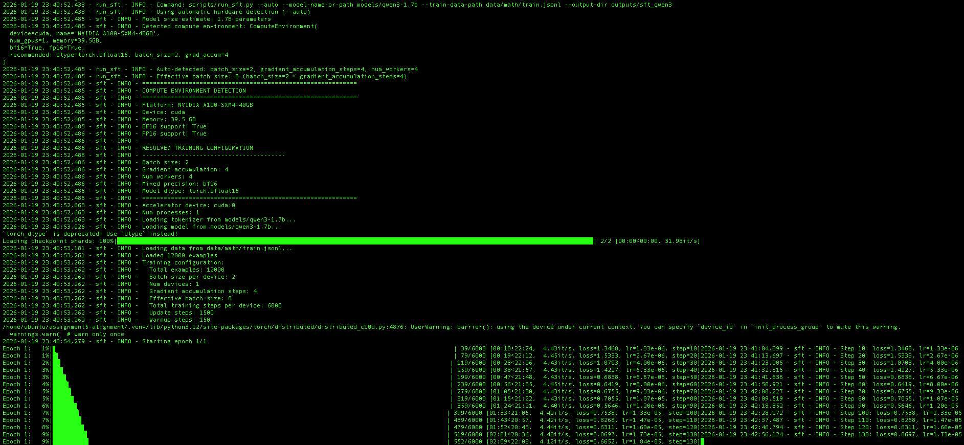 SFT Training Progress